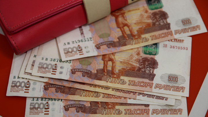 РИА Новости: в РФ средняя зарплата превысила 150 тыс. рублей в 24 отраслях - Новости на Вести.ru