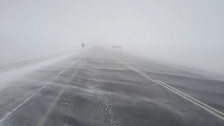 SHOT: в Новокузнецке водитель автобуса спасла потерявшегося в метель дошкольника - Новости на Вести.ru