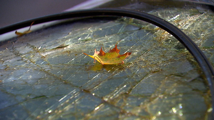 Водитель иномарки погиб при столкновении с автобусом в Марий Эл - Новости на Вести.ru