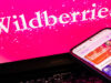 Wildberries ответила на идею ЦБ ограничить финансовые продукты маркетплейсов — Новости на Вести.ru